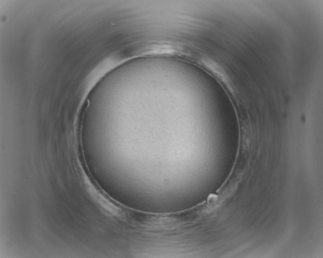 X0000062871475200601131428