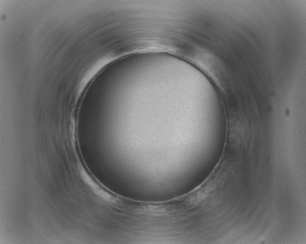 X0000062871476200601131428