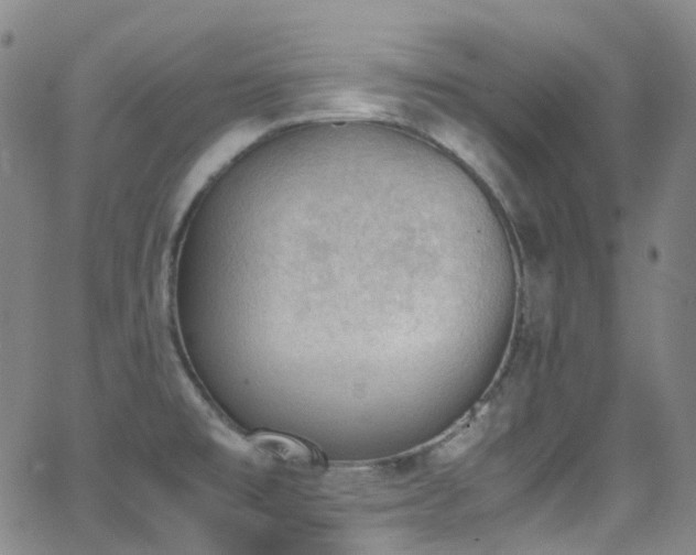 X0000062871477200601131428