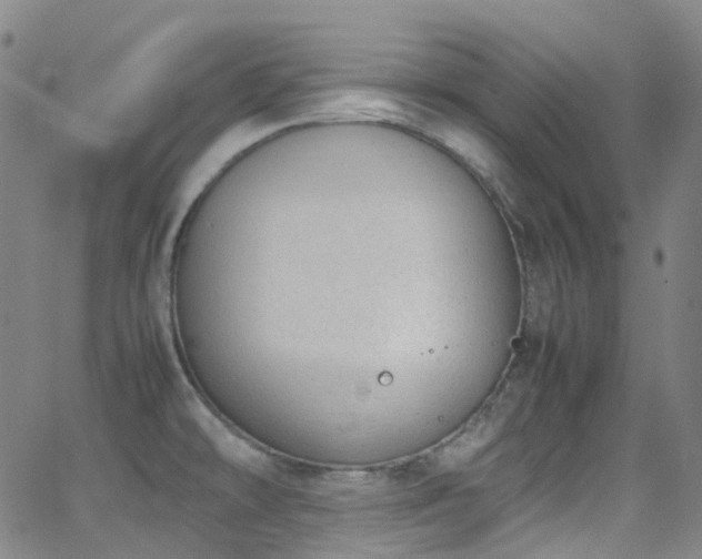 X0000062871478200601131428