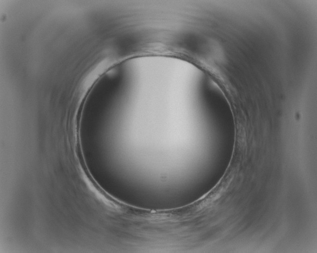 X0000062871479200601131428