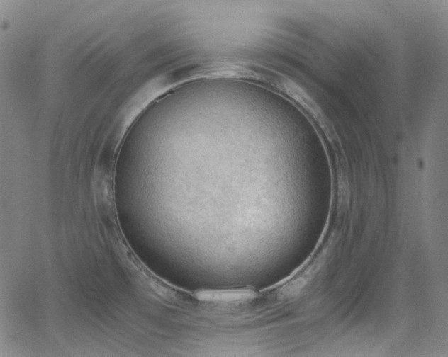 X0000062871481200601131428