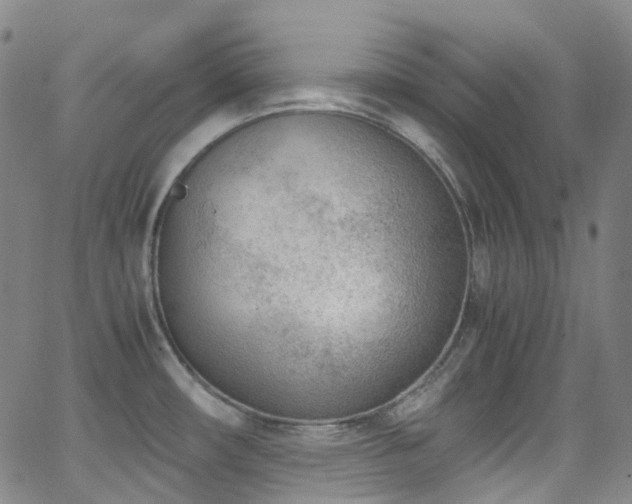 X0000062871482200601131428