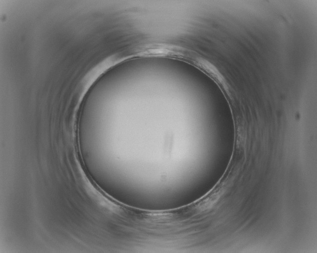 X0000062871483200601131428