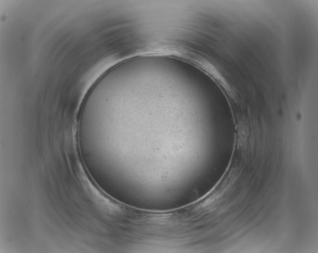 X0000062871484200601131428