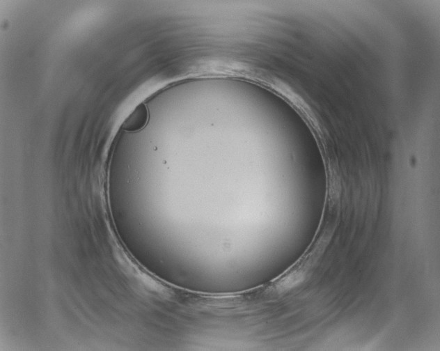 X0000062871486200601131428