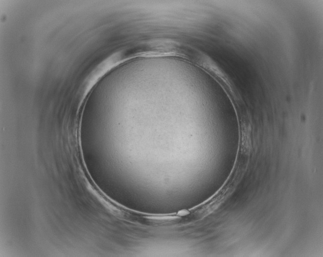 X0000062871487200601131428