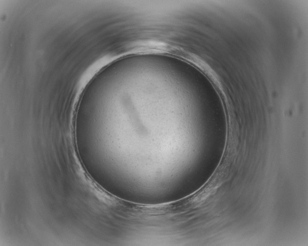 X0000062871488200601131428