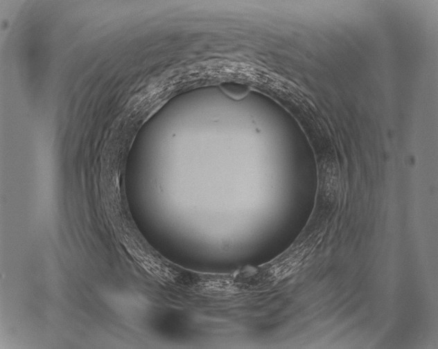 X0000062871489200601131427