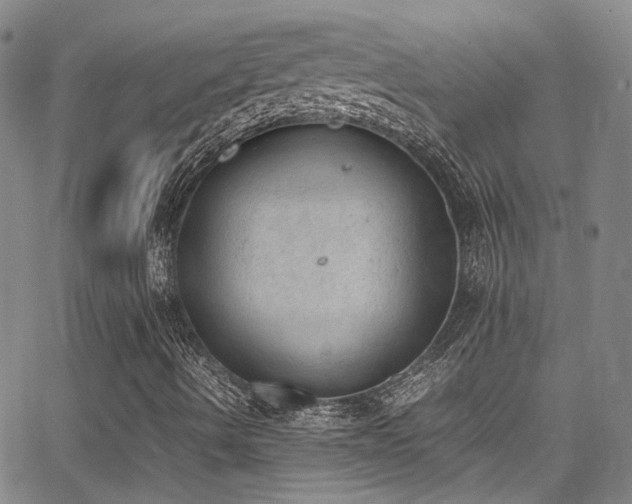 X0000062871490200601131428