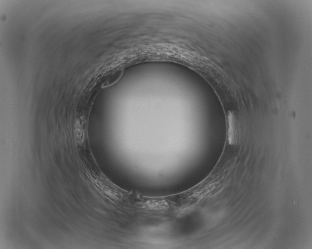 X0000062871491200601131428