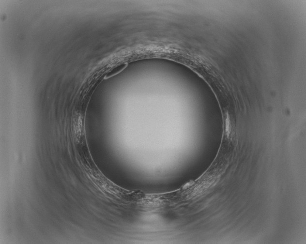 X0000062871492200601131428