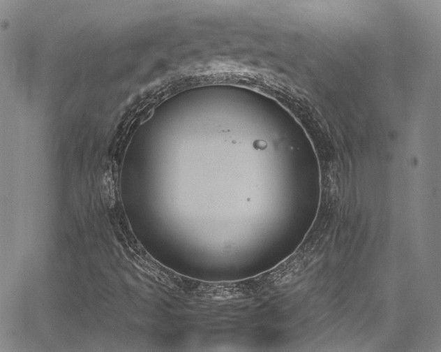 X0000062871493200601131428