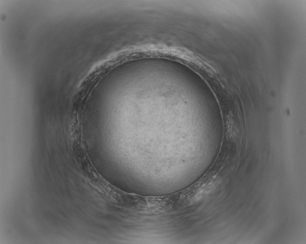 X0000062871494200601131428