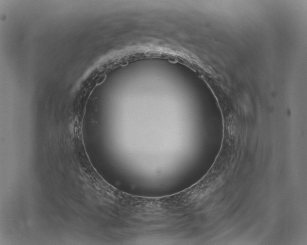 X0000062871495200601131428