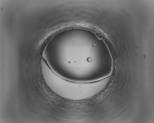 X0000062871496200601131428