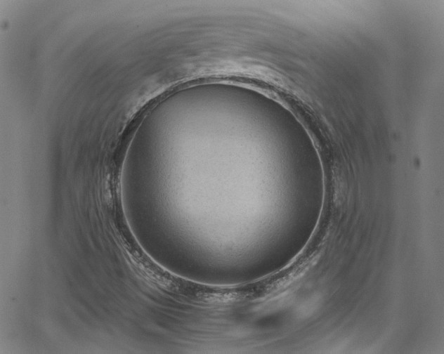 X0000062871497200601131428