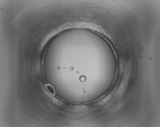 X0000062871498200601131428