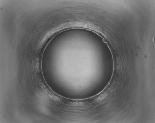 X0000062871499200601131428