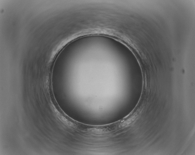 X0000062871500200601131428