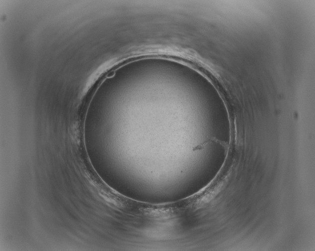 X0000062871501200601131428