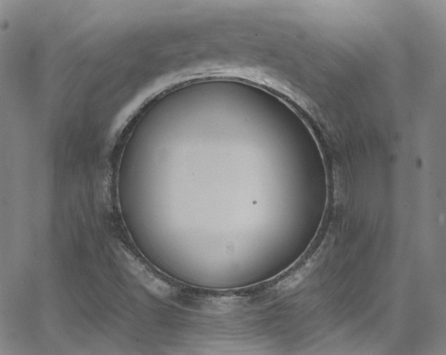 X0000062871502200601131428