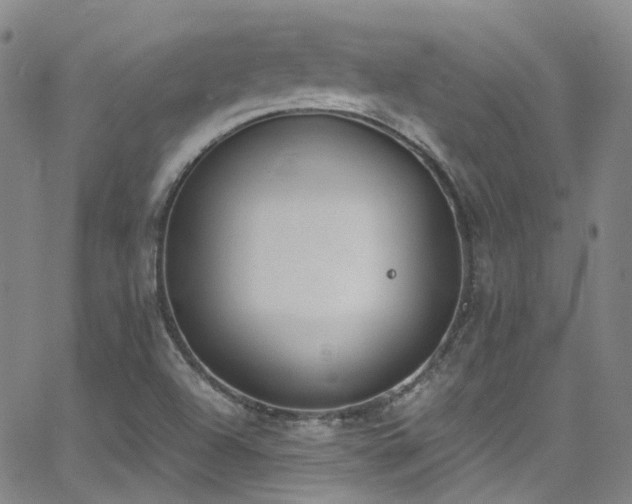 X0000062871504200601131428