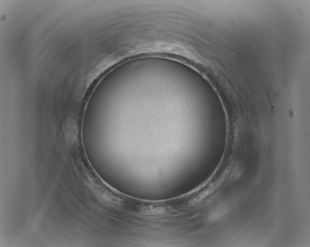 X0000062871505200601131428