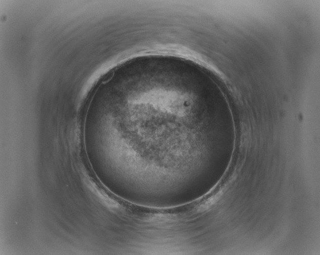 X0000062871506200601131428