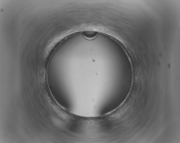 X0000062871507200601131428