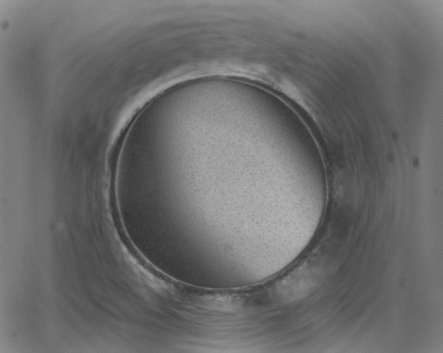 X0000062871508200601131428