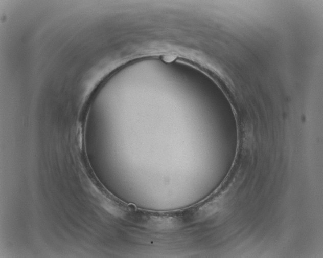 X0000062871509200601131428