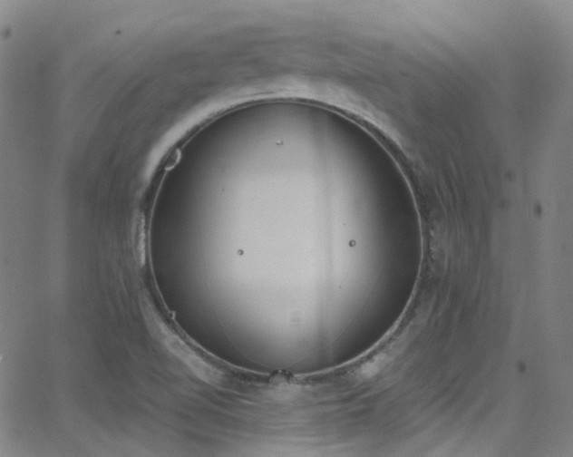 X0000062871510200601131428