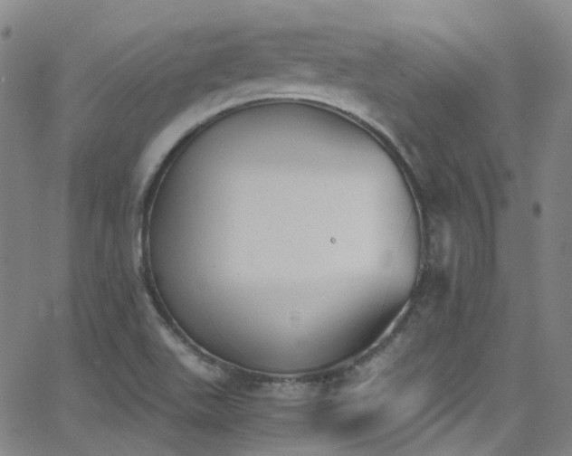 X0000062871511200601131428