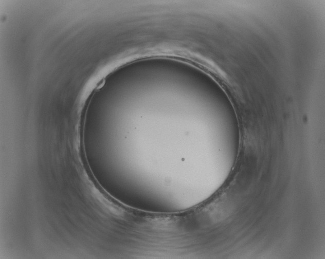 X0000062871512200601131428