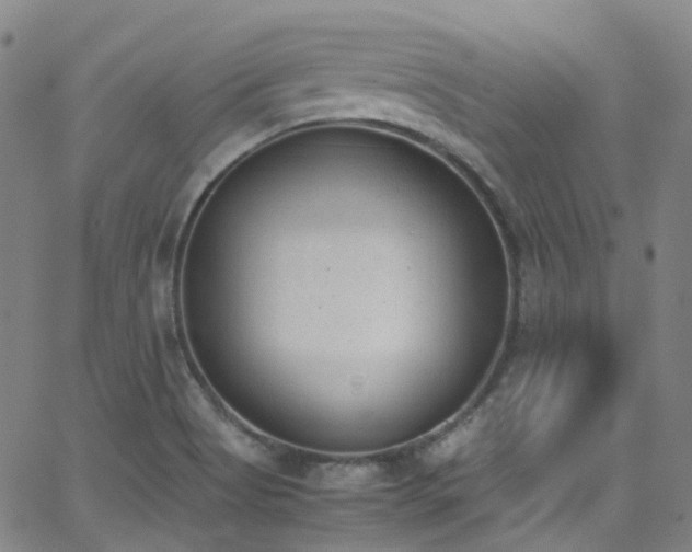 X0000062871513200601131428