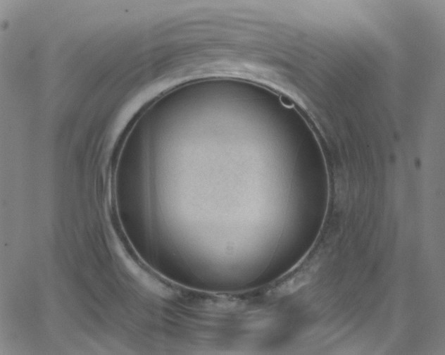 X0000062871515200601131428