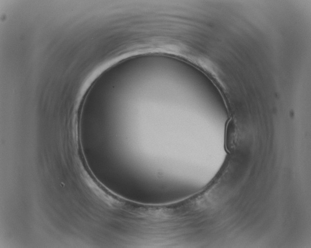 X0000062871516200601131428