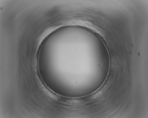 X0000062871517200601131428