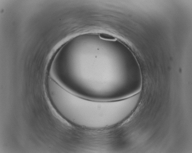 X0000062871518200601131428