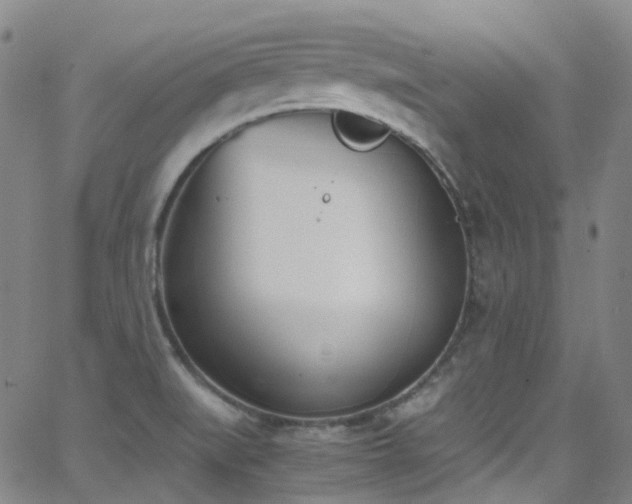 X0000062871519200601131428