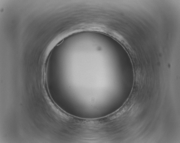 X0000062871520200601131428