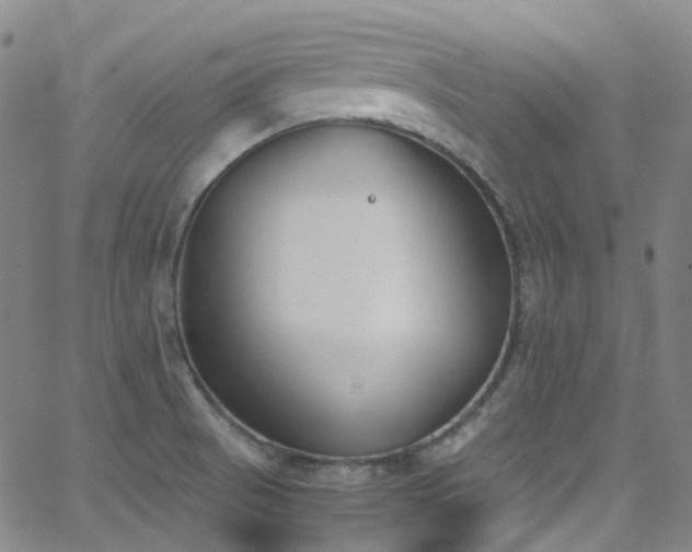 X0000062871521200601131428