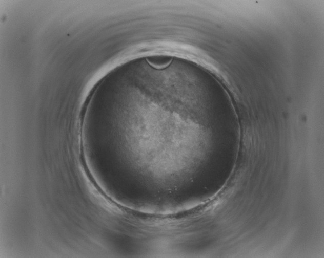 X0000062871522200601131428