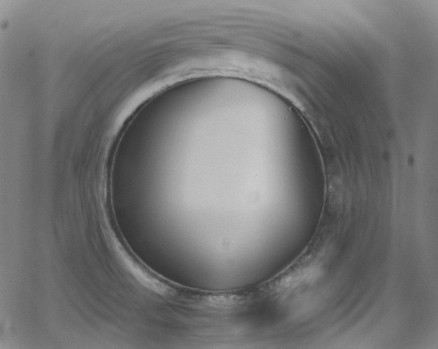 X0000062871523200601131428