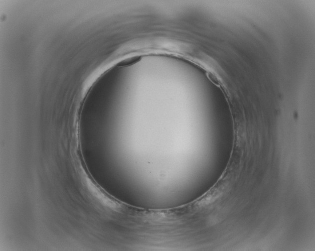 X0000062871524200601131428