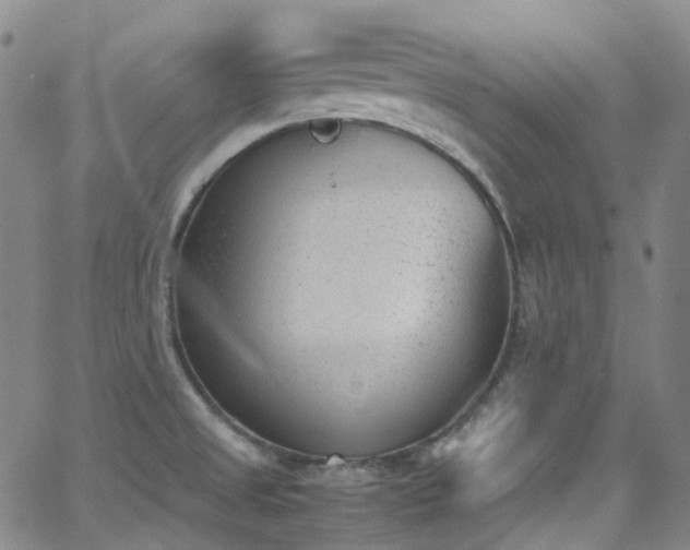 X0000062871525200601131428