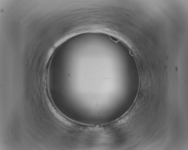 X0000062871526200601131428