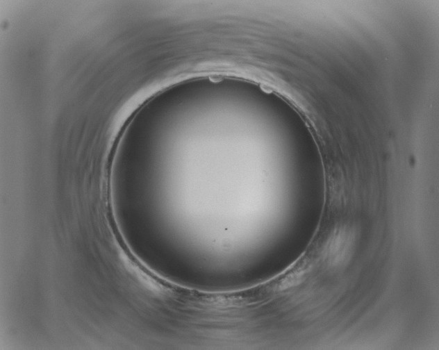 X0000062871527200601131428