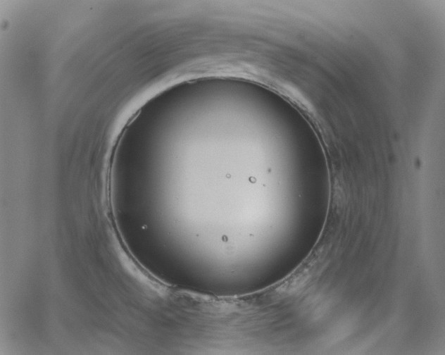 X0000062871528200601131428